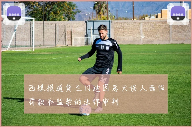 西媒报道费兰门迪因恶犬伤人面临罚款和监禁的法律审判